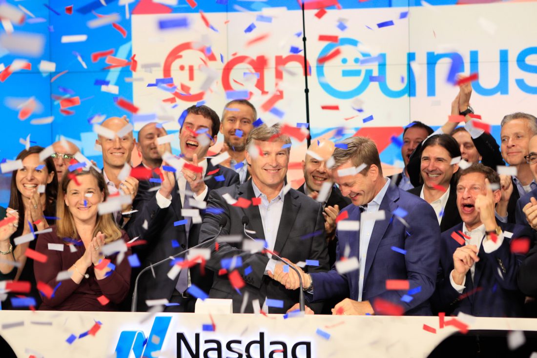 Ipo overprice long run